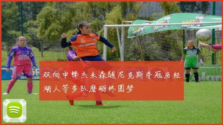 双向中锋杰米森随尼克斯夺冠历经湖人等多队磨砺终圆梦