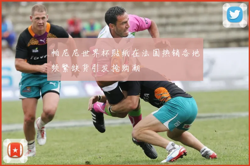 帕尼尼世界杯贴纸在法国热销各地频繁缺货引发抢购潮